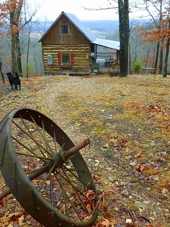 Rock Eddy Bluff Farm Cabins Dixon Exterior foto